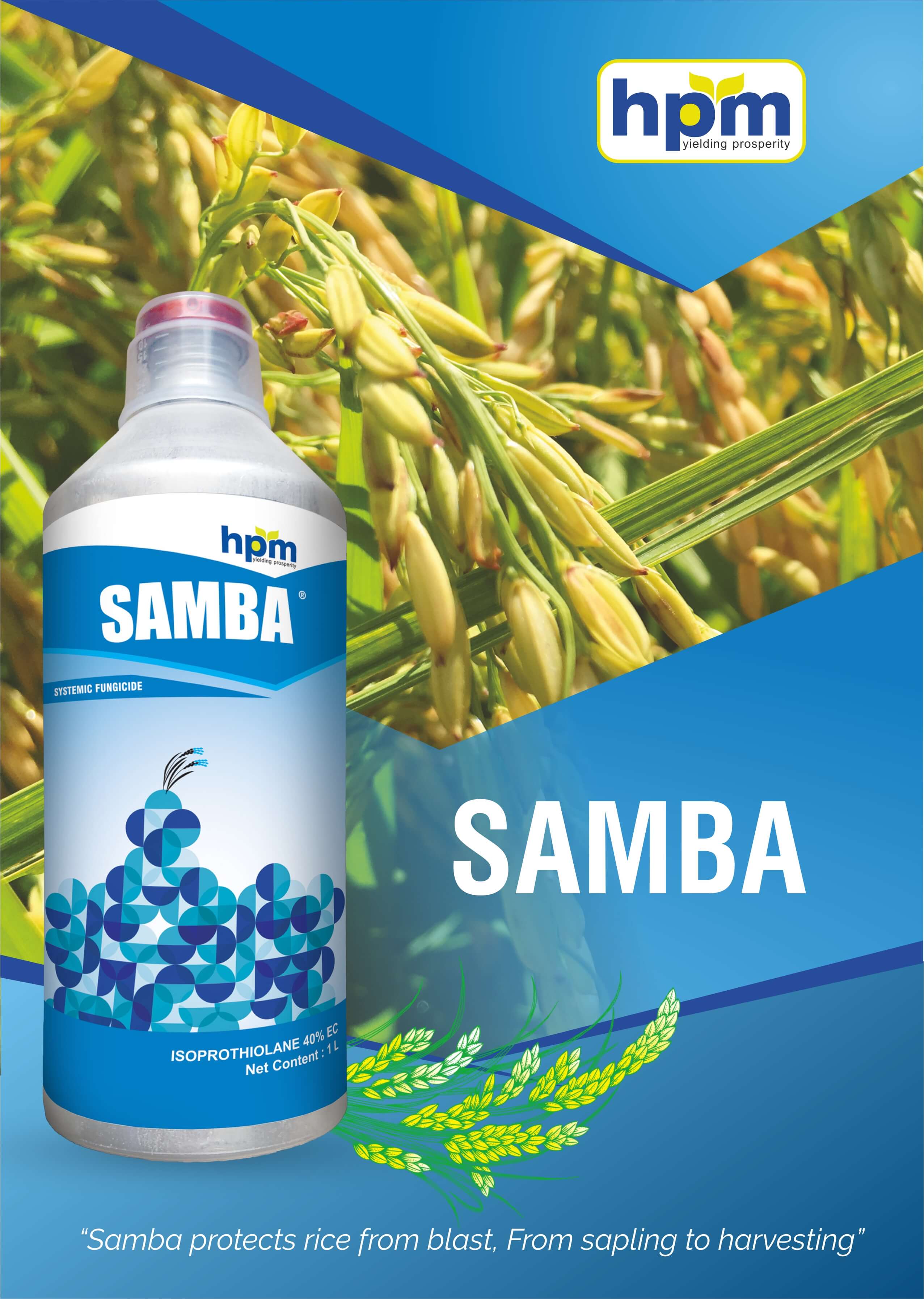 samba